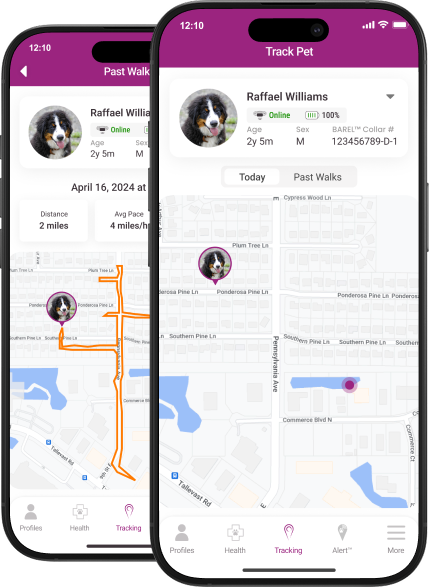 GPS Tracking