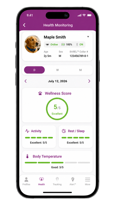Health & Wellness Insights