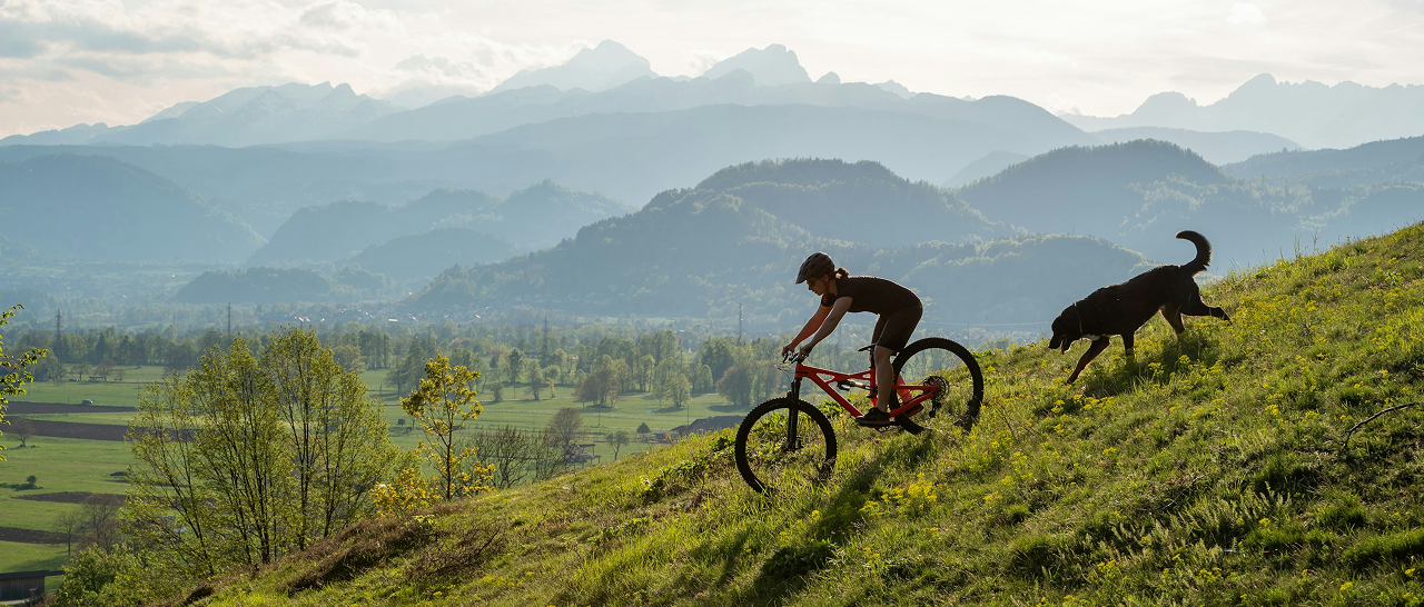 Active lifestyle with BAREL